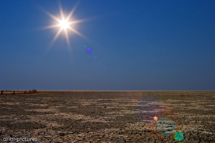 *Etosha Pfanne*<br><br>Gnadenlos brennt die afrikanische Sonne. Unbarmherzige ist die Hitze, die tagsüber stets am Horizont flimmert. Und das Wasser - es ist schon längst versiegt.<br><br>