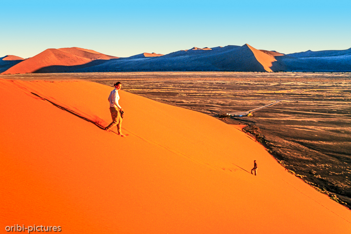 *Namibi-Wüste*<br><br><br><br>