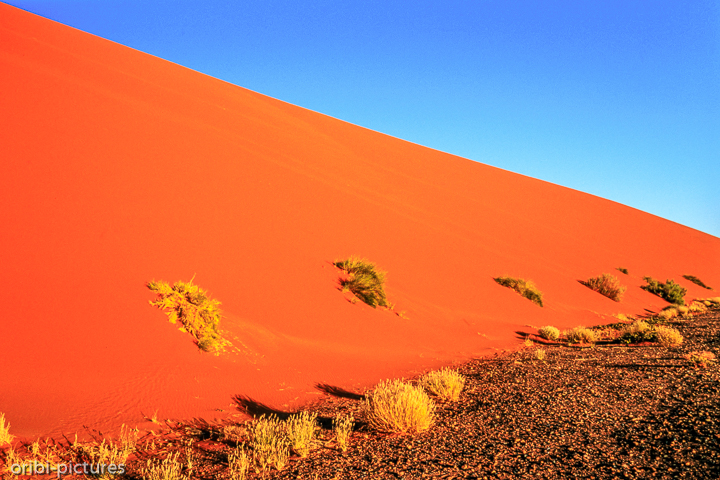 *Namibi-Wüste*<br><br><br><br>
