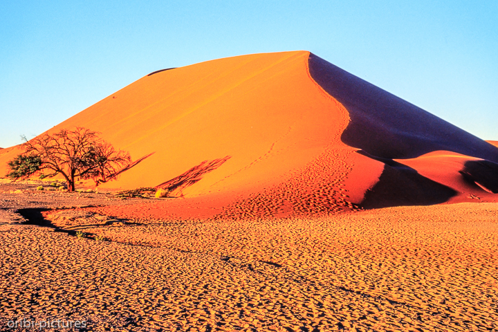 *Namibi-Wüste*<br><br><br><br>