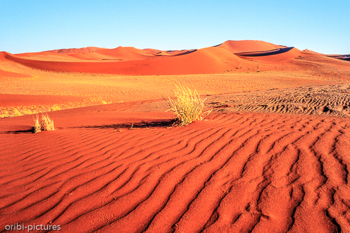 *Namibi-Wüste*<br><br><br><br>