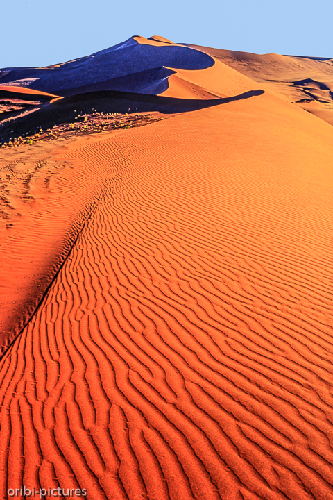 *Namibi-Wüste*<br><br><br><br>