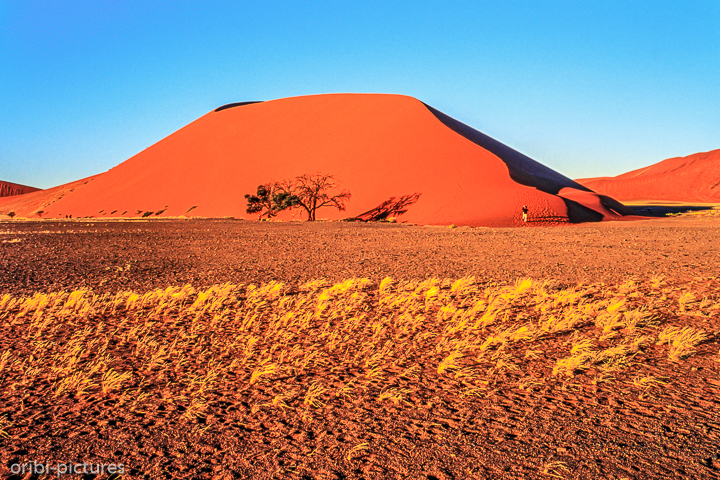 *Namibi-Wüste*<br><br><br><br>