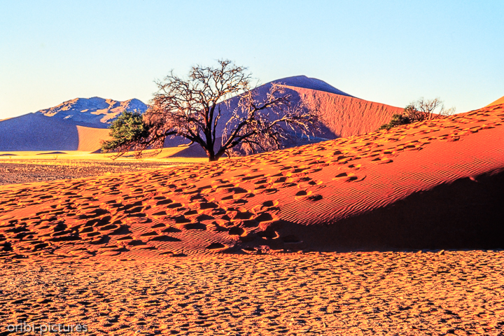 *Namibi-Wüste*<br><br><br><br>