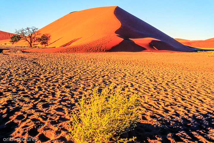 *Namibi-Wüste*<br><br><br><br>