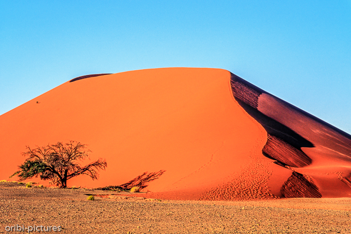 *Namibi-Wüste*<br><br><br><br>