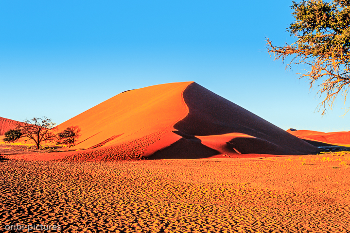 *Namibi-Wüste*<br><br><br><br>