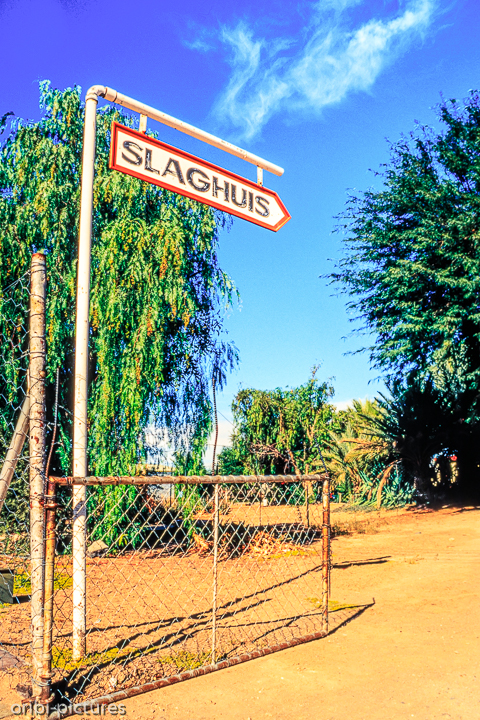 *Swakopmund*<br><br><br><br>