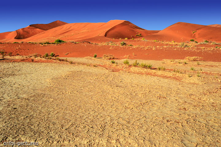 *Namibi-Wüste*<br><br><br><br>