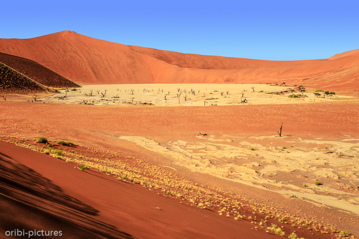 *Namibi-Wüste*<br><br><br><br>