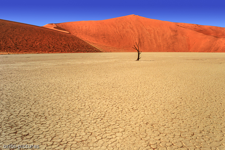 *Namibi-Wüste*<br><br><br><br>
