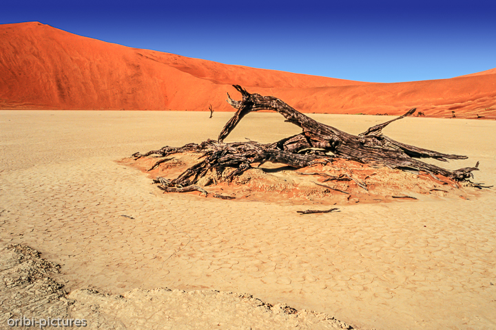 *Namibi-Wüste*<br><br><br><br>