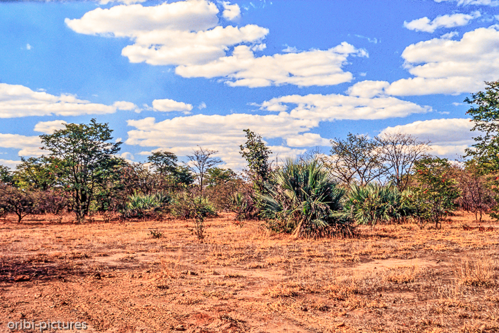 *Afrikanische Wolken*<br><br><br><br>