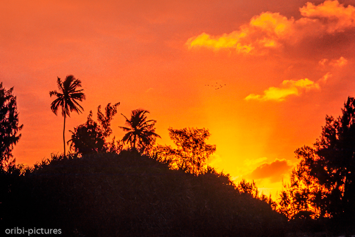 *Sunrise*<br><br><br><br>