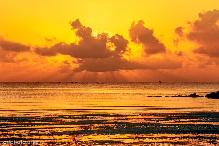 *Sonnenaufgang*<br><br><br><br>