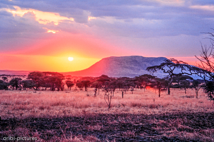 *Sonnenuntergang über der Serengeti*<br><br><br><br>