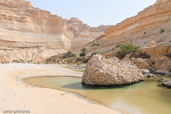 *Tiefer hinein in den Canyon*<br><br>Dorthin, wo kein Jeep mehr hinkommt, wandern wir noch einige Kilometer tiefer ins Wadi Ash Shuwaymiyyah.<br><br>