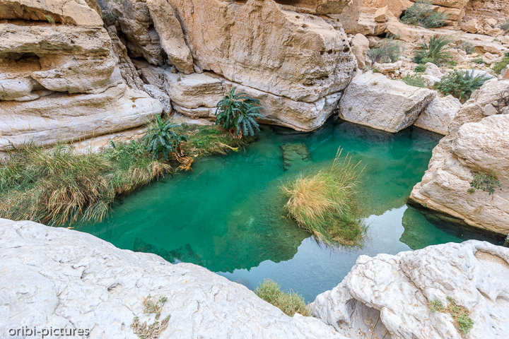 *Wadi Bani Khalid*<br><br><br><br>