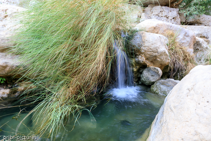 *Wadi Bani Khalid*<br><br><br><br>