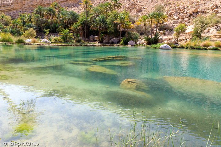 *Wadi Bani Khalid*<br><br><br><br>