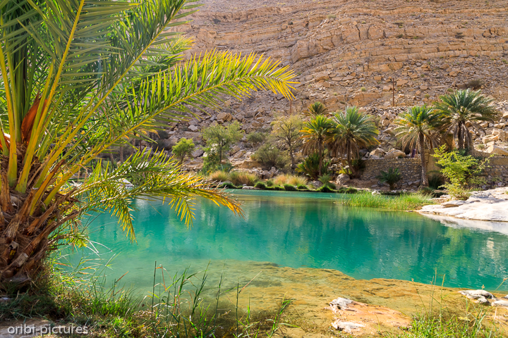 *Wadi Bani Khalid*<br><br><br><br>