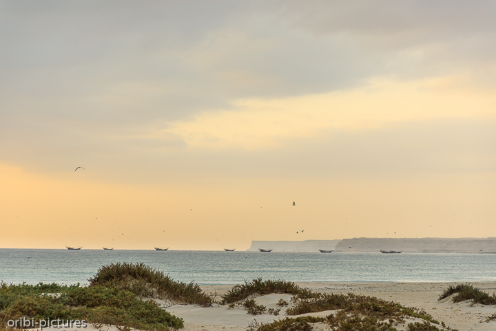 *Am Strand zwischen Duqm und Ras Madrakah*<br><br>ungefähr auf Höhe der Gemeinde Shuwayr<br><br>