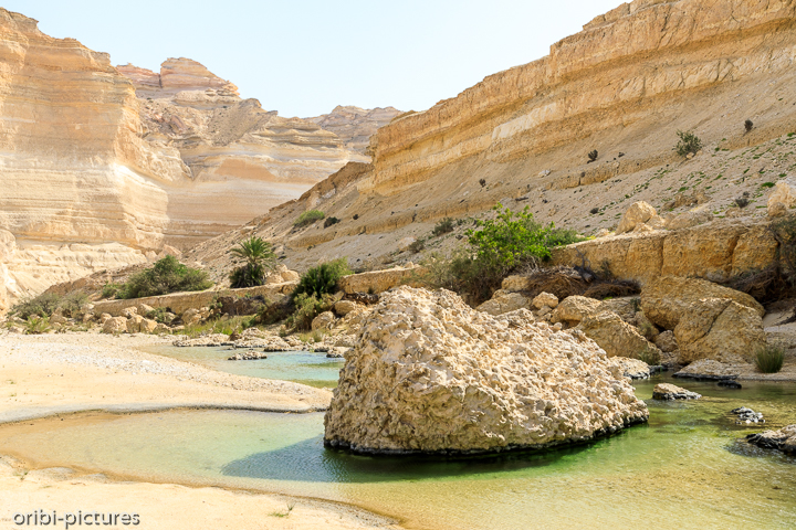 *Tiefer hinein in den Canyon*<br><br>Dorthin, wo kein Jeep mehr hinkommt, wandern wir noch einige Kilometer tiefer ins Wadi Ash Shuwaymiyyah.<br><br>