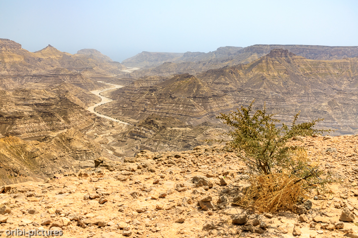 *Canyon View Point an der A42 zwischen Ash Shuwaymiyyah und Salalah*<br><br><br><br>