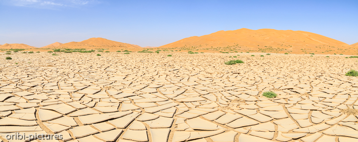 *Empty Quarter - Das Leere Viertel - die Wüste Rub al-Khali*<br><br><br><br>