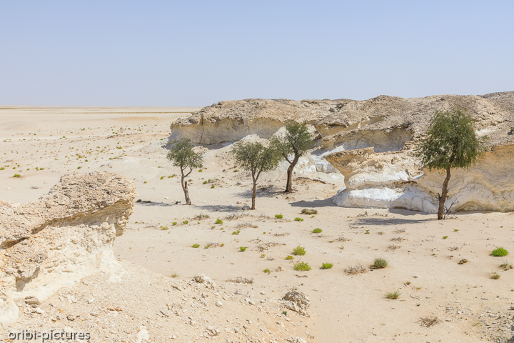 *White Canyon of Oman*<br><br>Eigentlich noch ein Geheimtipp östlich der A31 auf Höhe von Qarn Al Alam.<br><br>