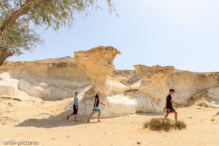 *White Canyon of Oman*<br><br>Eigentlich noch ein Geheimtipp östlich der A31 auf Höhe von Qarn Al Alam.<br><br>