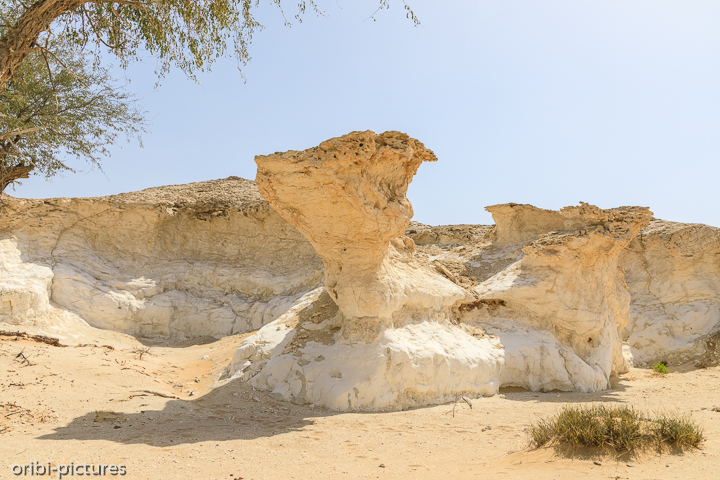 *White Canyon of Oman*<br><br>Eigentlich noch ein Geheimtipp östlich der A31 auf Höhe von Qarn Al Alam.<br><br>