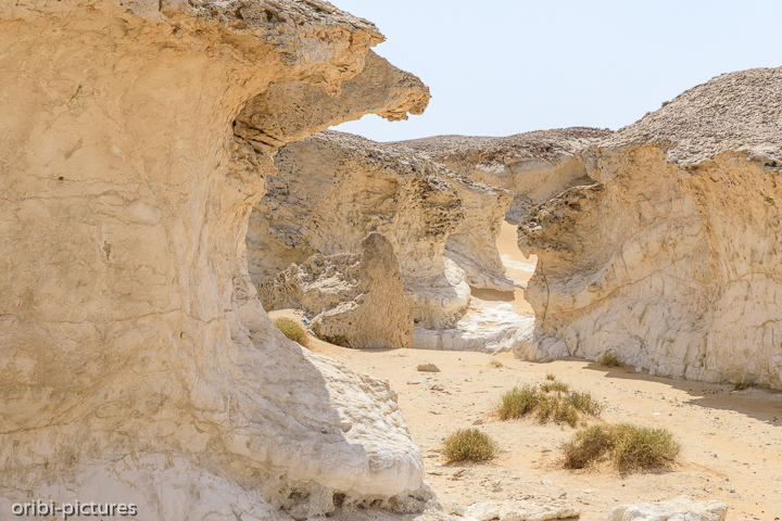 *White Canyon of Oman*<br><br>Eigentlich noch ein Geheimtipp östlich der A31 auf Höhe von Qarn Al Alam.<br><br>