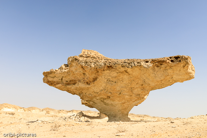 *White Canyon of Oman*<br><br>Eigentlich noch ein Geheimtipp östlich der A31 auf Höhe von Qarn Al Alam.<br><br>