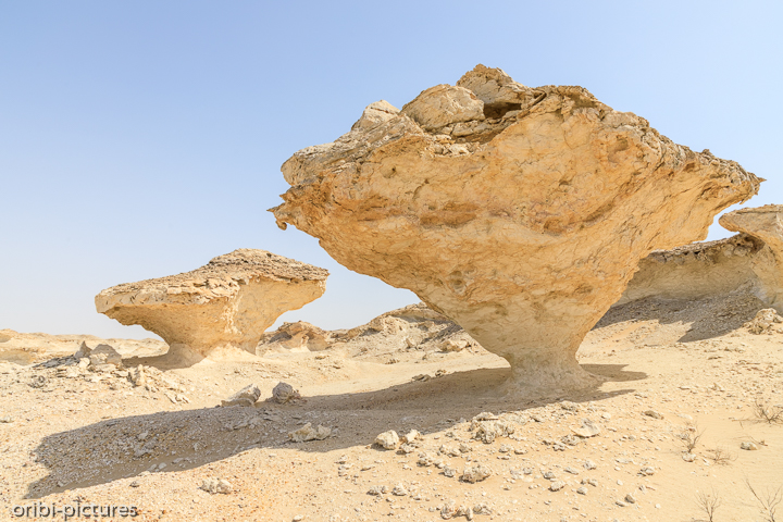 *White Canyon of Oman*<br><br>Eigentlich noch ein Geheimtipp östlich der A31 auf Höhe von Qarn Al Alam.<br><br>