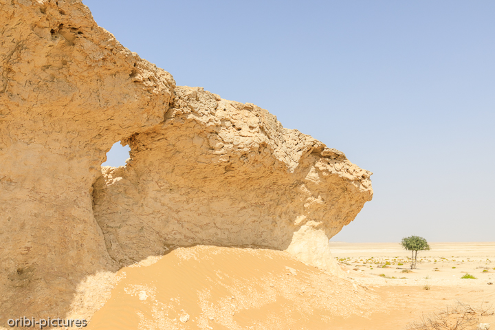 *White Canyon of Oman*<br><br>Eigentlich noch ein Geheimtipp östlich der A31 auf Höhe von Qarn Al Alam.<br><br>