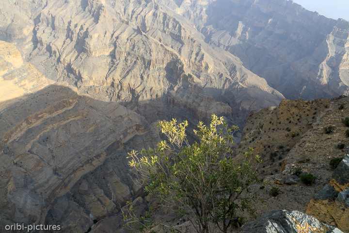 *Jabal Shams - auf Omans höchsten Gipfel mit ca. 3.000m*<br><br><br><br>