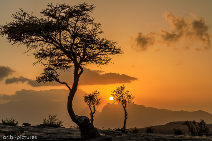 *Jabal Shams - auf Omans höchsten Gipfel mit ca. 3.000m*<br><br><br><br>