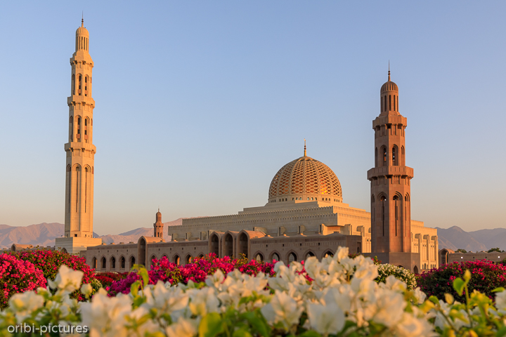 *Sultan Qaboos Moschee*<br><br>Beeindruckend während des 18 Uhr Gebets den Pilgerern zuzusehen und das Ambiente aufzusaugen. Frauen sollten sich für einen Besichtigungstermin vorab informieren.<br><br>