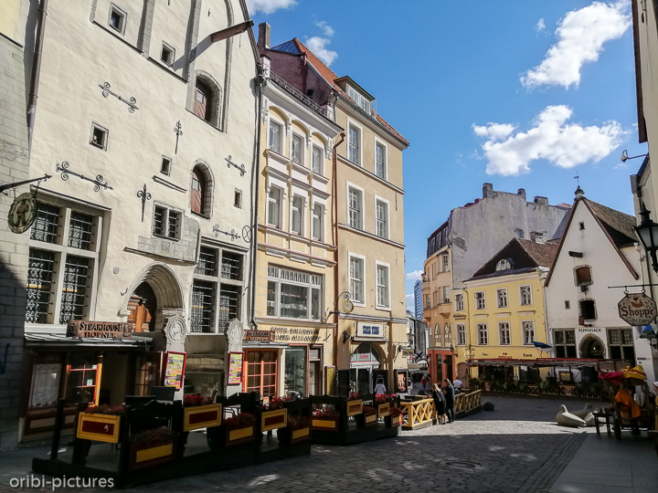 *Altstadt Tallinn*<br><br><br><br>