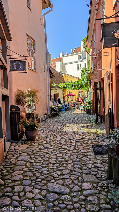 *Kopfsteinpflaster*<br><br><br><br>