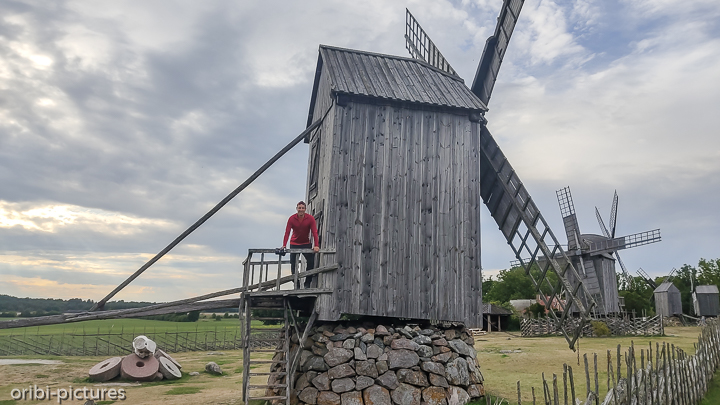 *Enrico in der Mühle*<br><br><br><br>