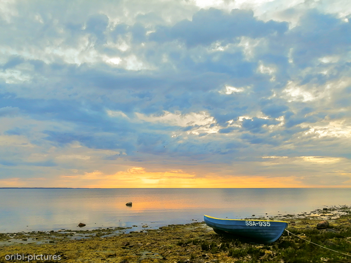 *Stillleben*<br><br><br><br>