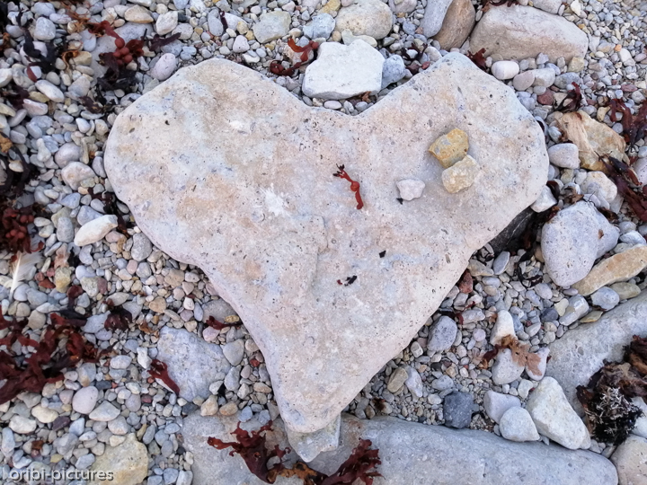 *2020 war nicht schlecht*<br><br><br><br>