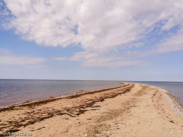 *Landzunge*<br><br><br><br>