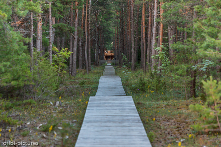 *Schmale Holzstege vom Wohnhaus zum Strand, Saaremaa*<br><br><br><br>