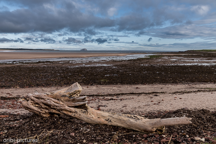*Dunbar wild beach*<br><br><br><br>
