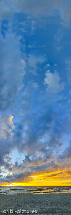 *Panorama*<br><br><br><br>