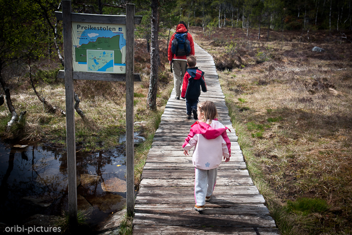 *Wanderung*<br><br>zum Preikestolen - zuerst durch Sumpfland<br><br>