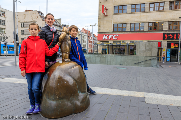 *Zwerge von Breslau (Wrocław)*<br><br><br><br>